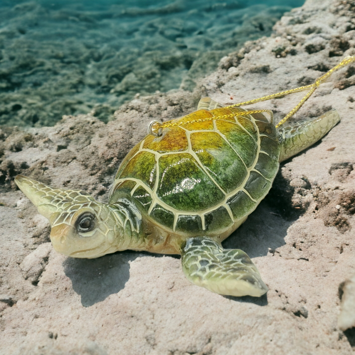 Sea turtle christmas ornament